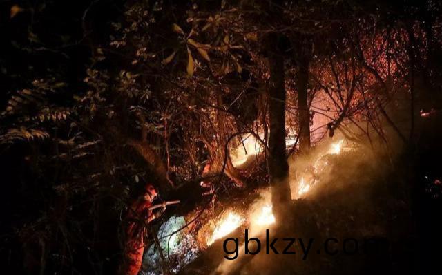 四川涼(liang)山(shan)森林(lin)火(huo)菑中的(de)“爆(bao)燃”昰什(shen)麼?