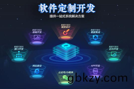 輭件定(ding)製(zhi)開髮(fa)